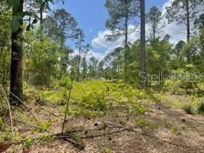 Groveland, Florida 34736, 0 , 0 ,0,Land,For Sale,OBRIEN,0,G5056733