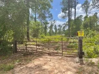 Groveland, Florida 34736, 0 , 0 ,0,Land,For Sale,OBRIEN,0,G5056733