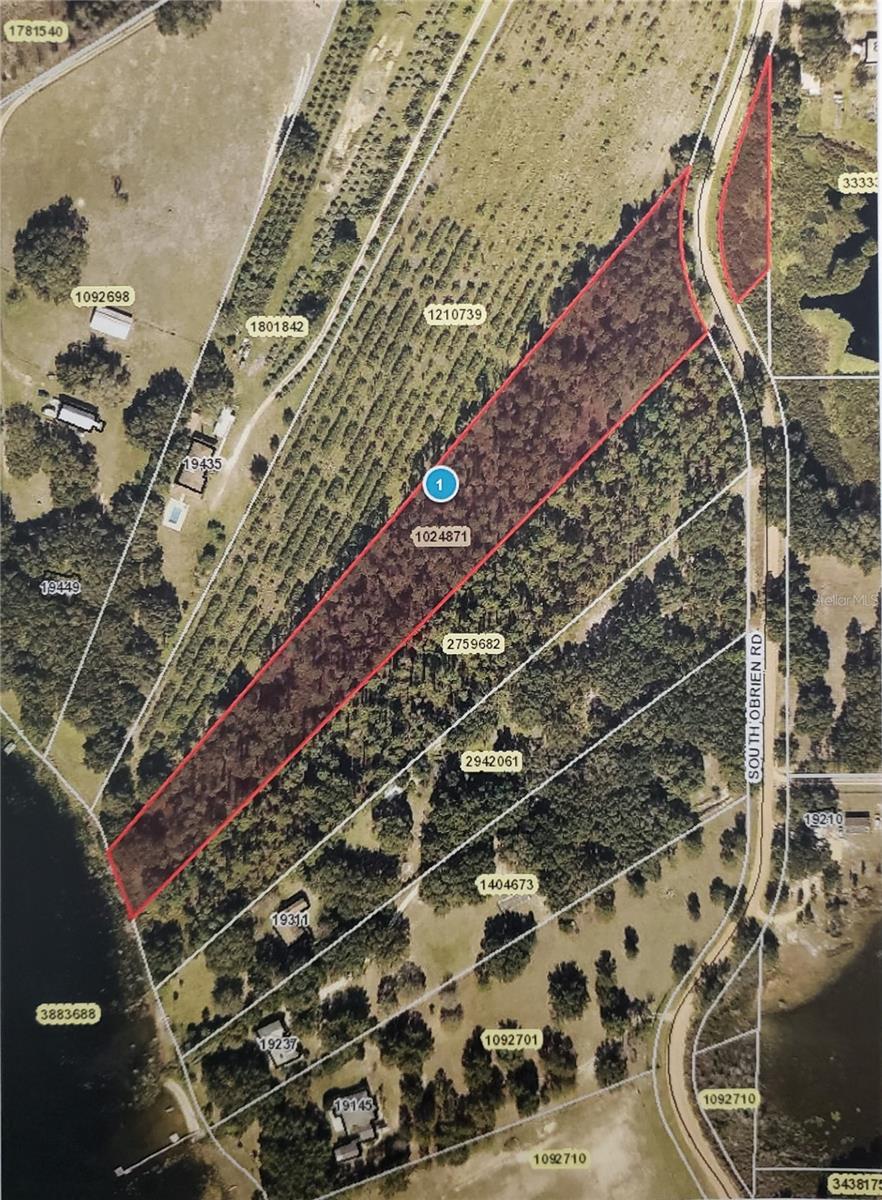 Groveland, Florida 34736, 0 , 0 ,0,Land,For Sale,OBRIEN,0,G5056733