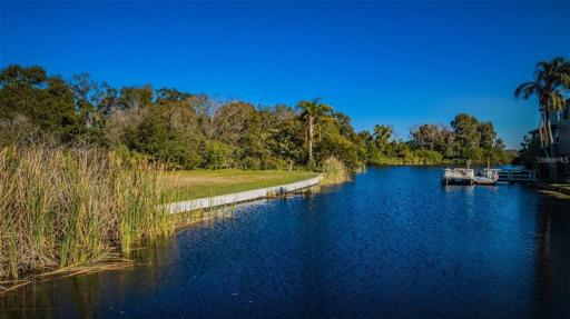 On the canal of Dolly Bay, leading into Lake Tarpon, this property is the end lot of Cyprus Dr.