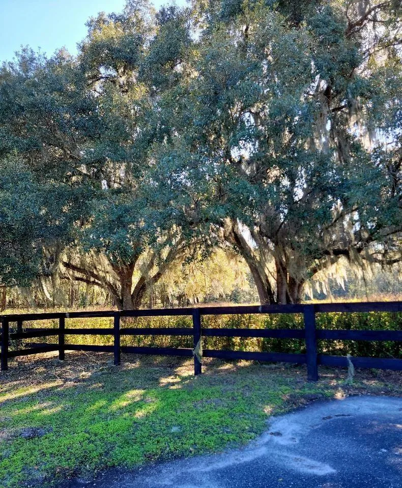 Ocala, Florida 34481, 0 , 0 ,0,Land,For Sale,144TH COURT,0,OM641353