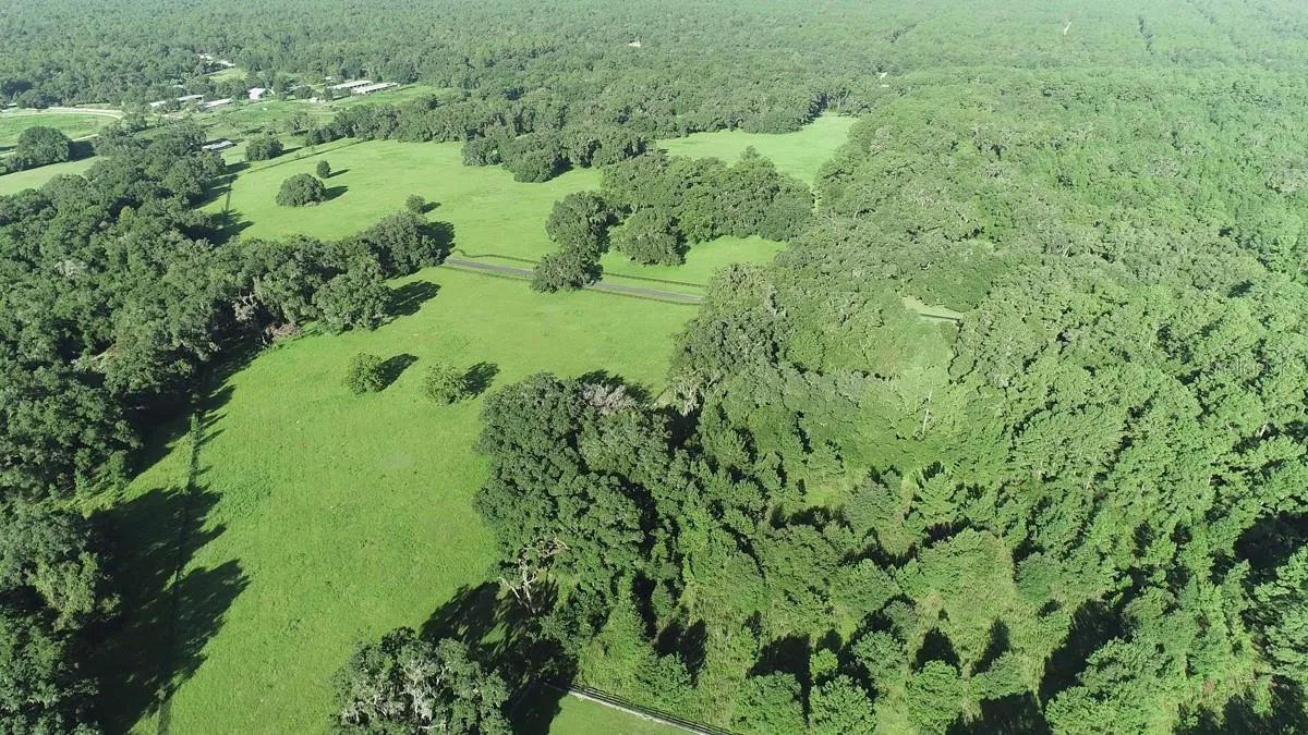 Ocala, Florida 34481, 0 , 0 ,0,Land,For Sale,144TH COURT,0,OM641353