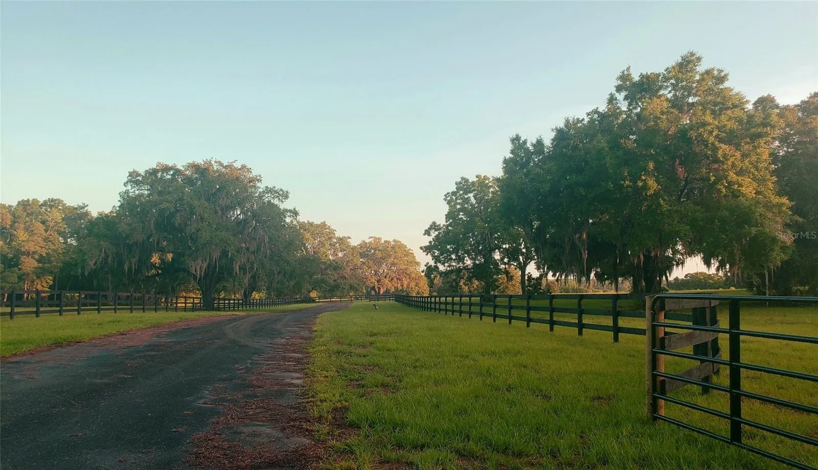 Ocala, Florida 34481, 0 , 0 ,0,Land,For Sale,144TH COURT,0,OM641353