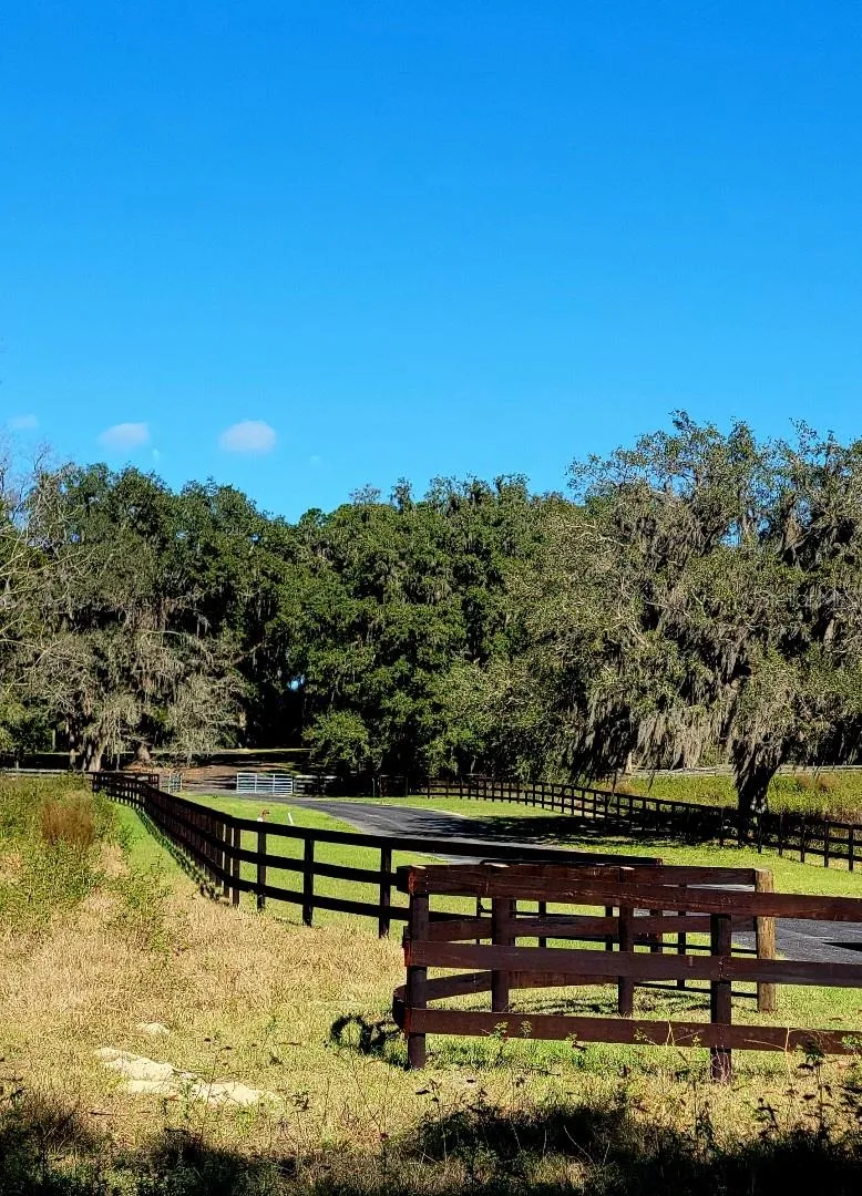 Ocala, Florida 34481, 0 , 0 ,0,Land,For Sale,144TH COURT,0,OM641353