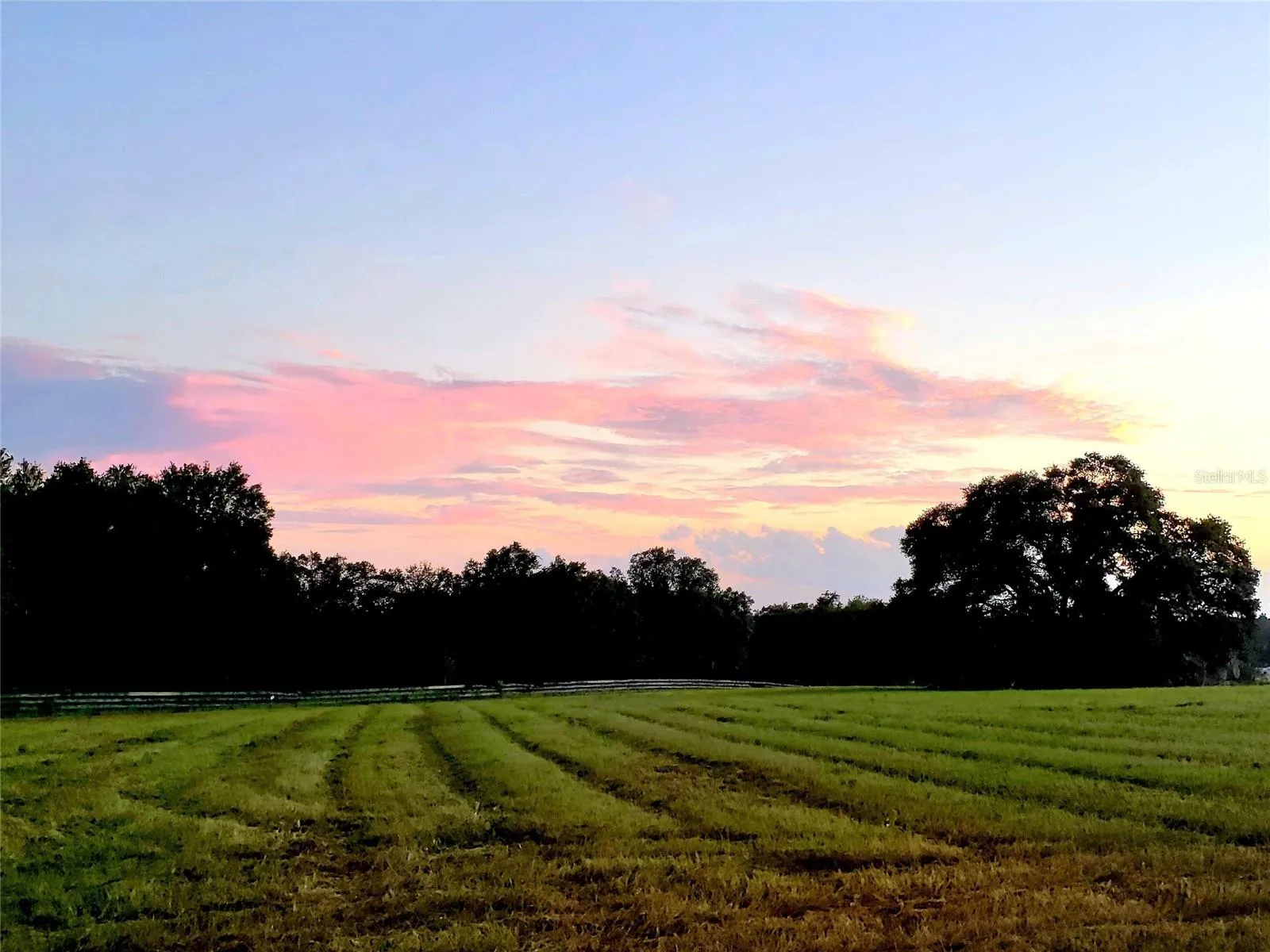 Ocala, Florida 34481, 0 , 0 ,0,Land,For Sale,144TH COURT,0,OM641353