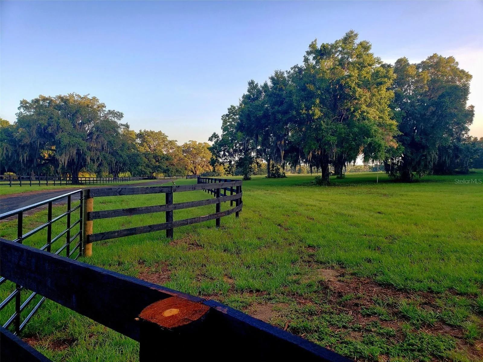 Ocala, Florida 34481, 0 , 0 ,0,Land,For Sale,144TH COURT,0,OM641353
