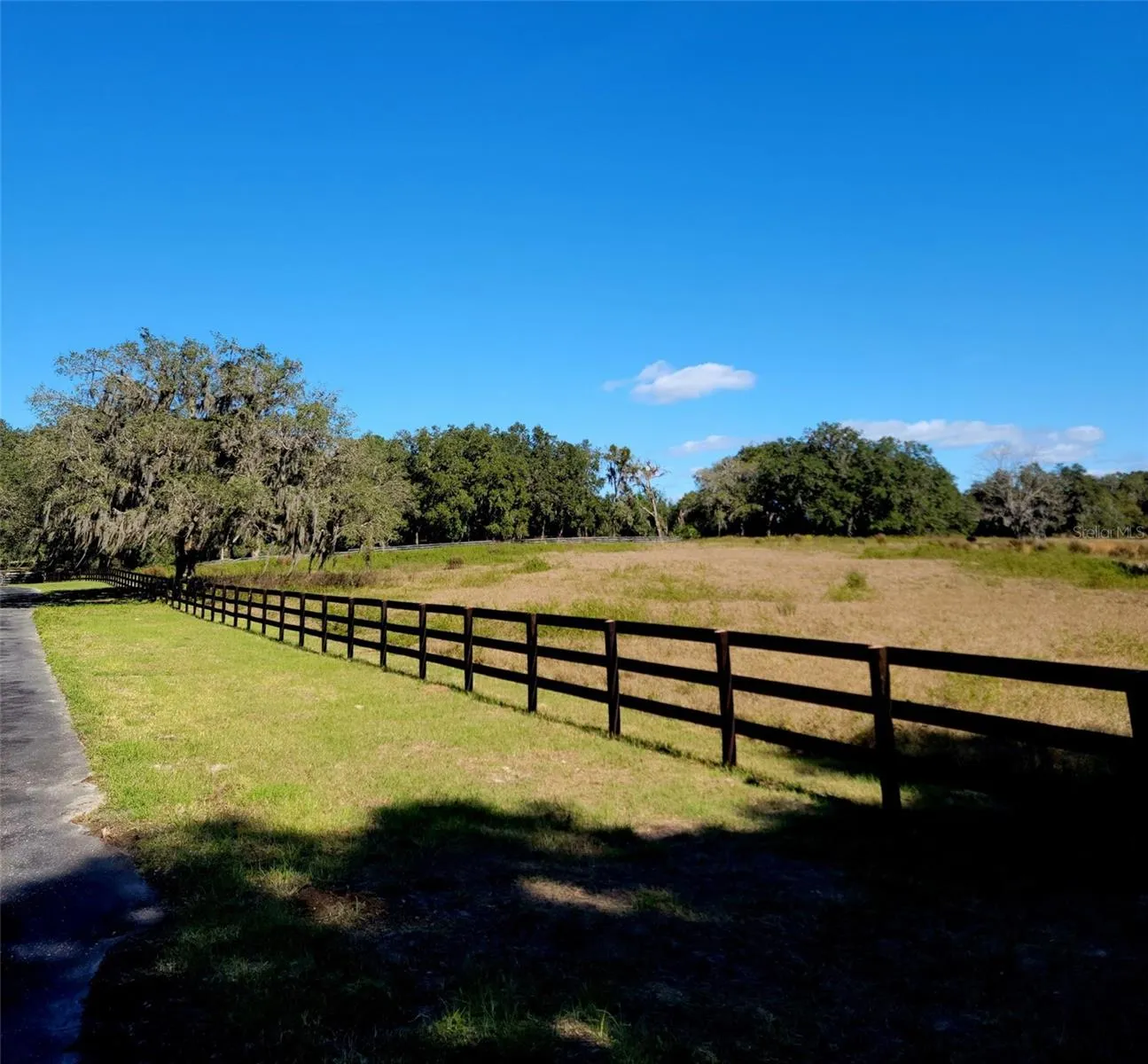 Ocala, Florida 34481, 0 , 0 ,0,Land,For Sale,144TH COURT,0,OM641353