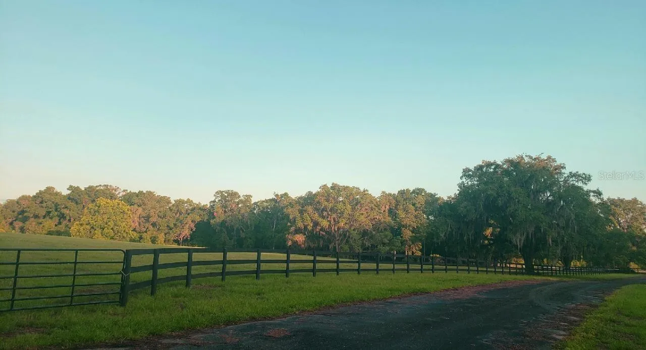 Ocala, Florida 34481, 0 , 0 ,0,Land,For Sale,144TH COURT,0,OM641353