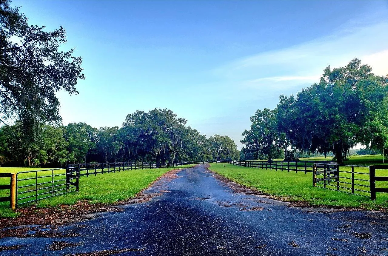 Ocala, Florida 34481, 0 , 0 ,0,Land,For Sale,144TH COURT,0,OM641353