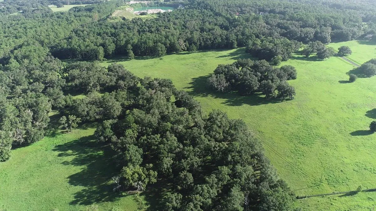 Ocala, Florida 34481, 0 , 0 ,0,Land,For Sale,144TH COURT,0,OM641353