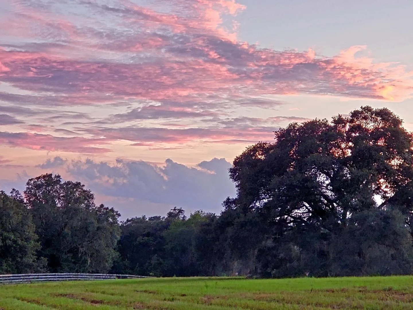 Ocala, Florida 34481, 0 , 0 ,0,Land,For Sale,144TH COURT,0,OM641353