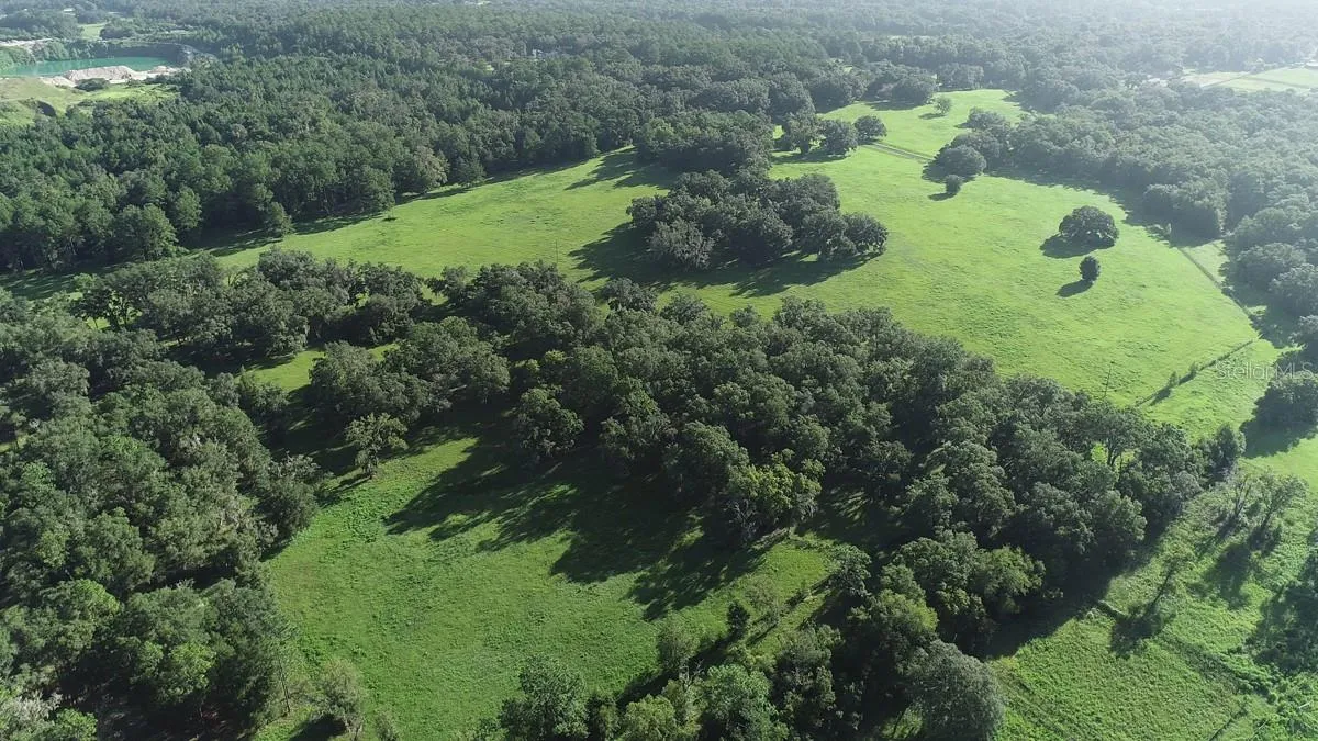 Ocala, Florida 34481, 0 , 0 ,0,Land,For Sale,144TH COURT,0,OM641353