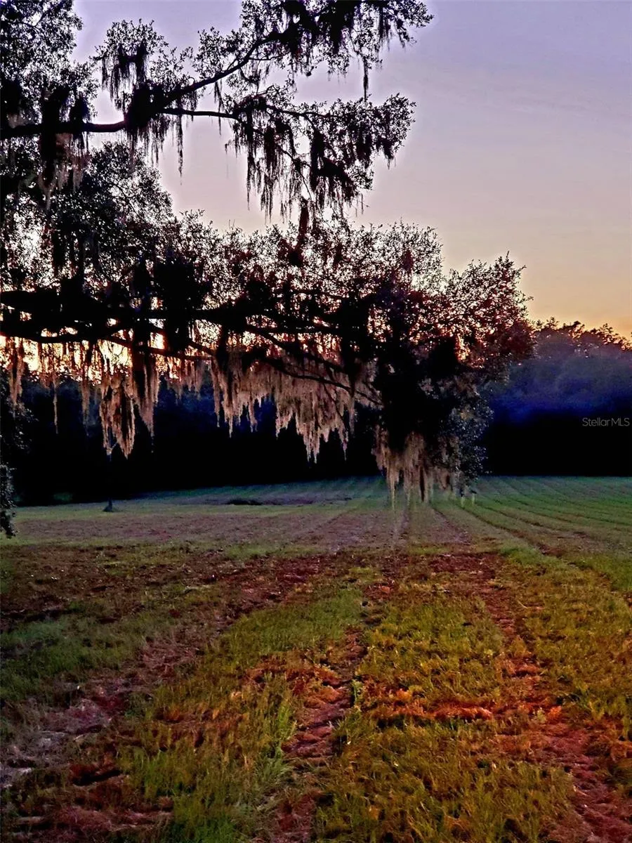 Ocala, Florida 34481, 0 , 0 ,0,Land,For Sale,144TH COURT,0,OM641353