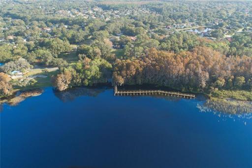 Lake Tarpon