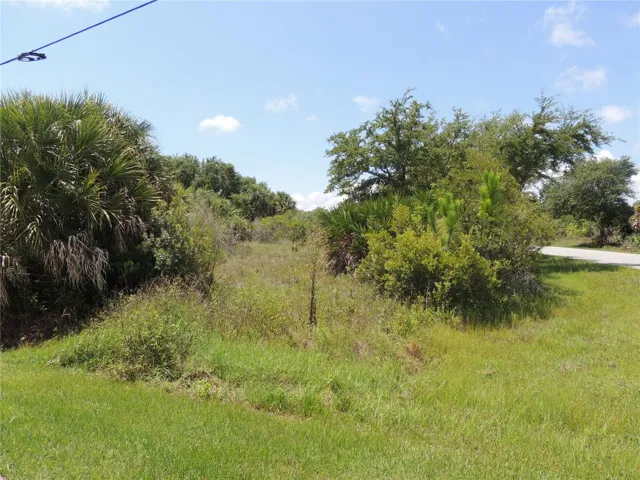 view down the center of the lot