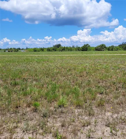 40 Macaw Drive    Placida, Fl  33946    View from Rear of            Property