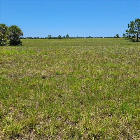 40 Macaw Drive     Placida, Fl  33946          Road View