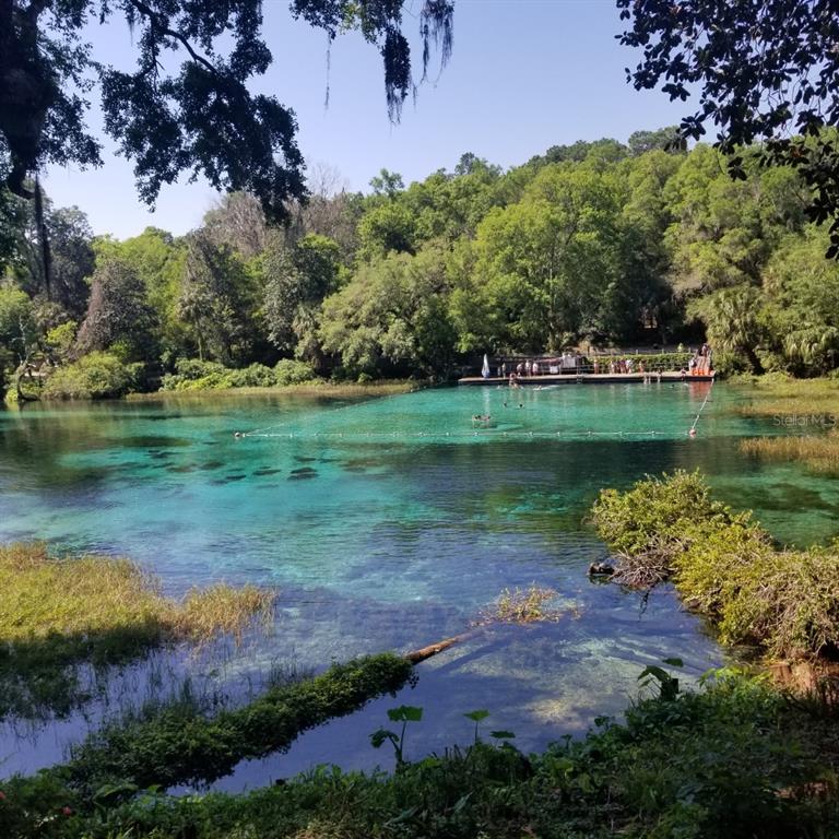 Near by Rainbow Springs State Park