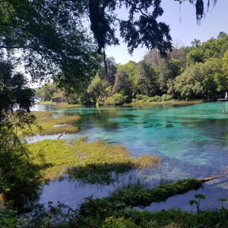 Near by Rainbow Springs State Park