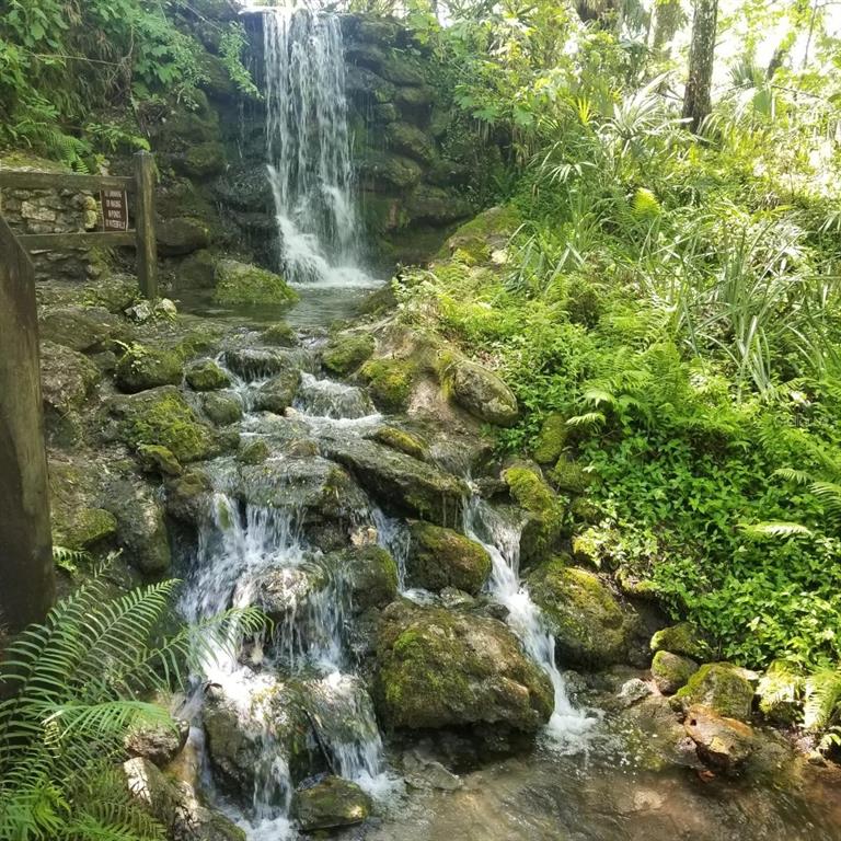 Near by Rainbow Springs State Park