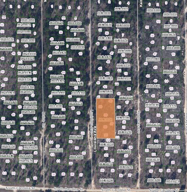 Hawthorne, Florida 32640, 0 , 0 ,0,Land,For Sale,LOUISSIANA,0,OM641747