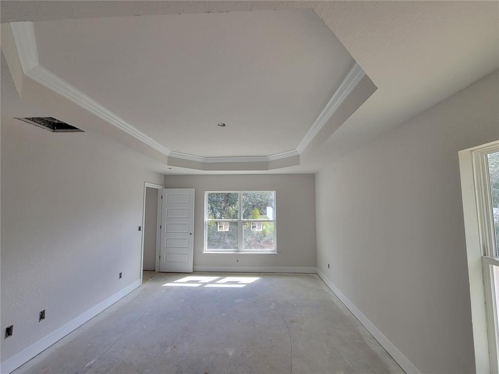Tray ceiling in master bedroom