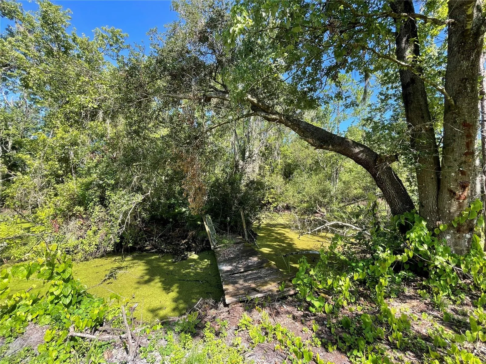 Orlando, Florida 32828, 0 , 0 ,0,Land,For Sale,BEARLE,0,O6041970