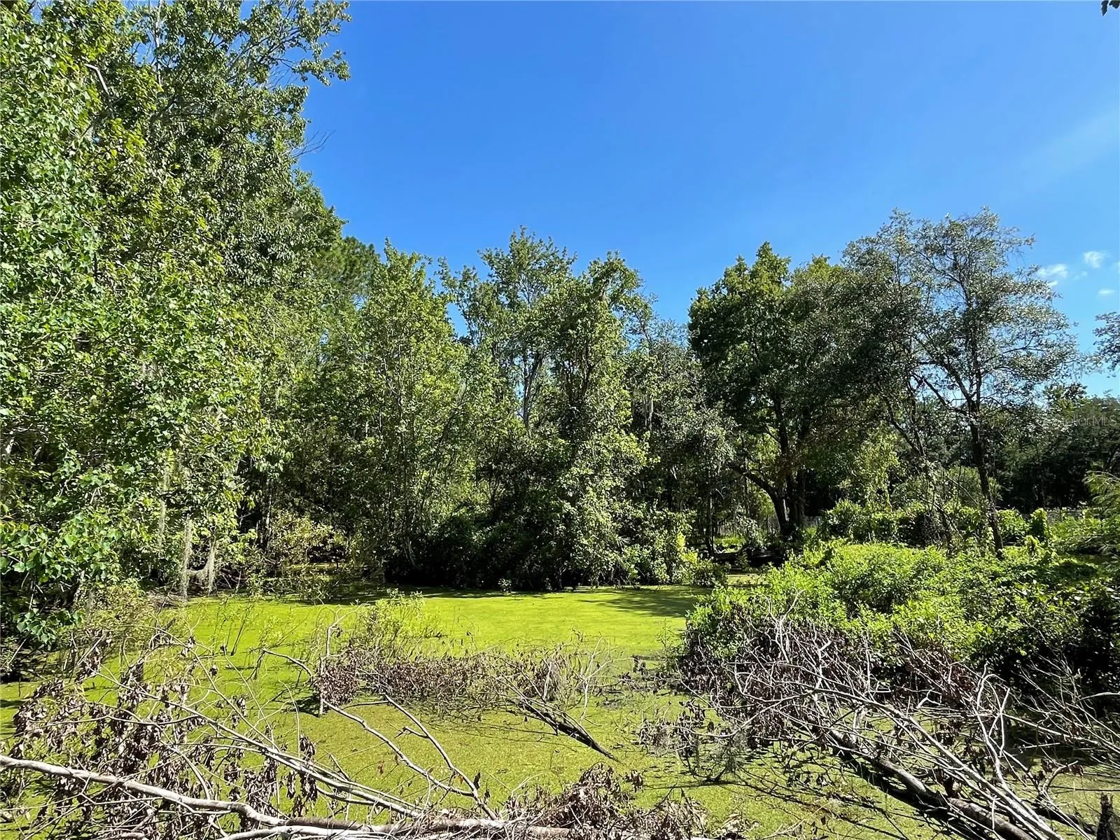 Orlando, Florida 32828, 0 , 0 ,0,Land,For Sale,BEARLE,0,O6041970