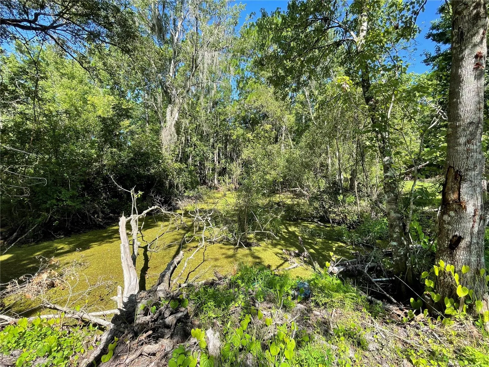 Orlando, Florida 32828, 0 , 0 ,0,Land,For Sale,BEARLE,0,O6041970