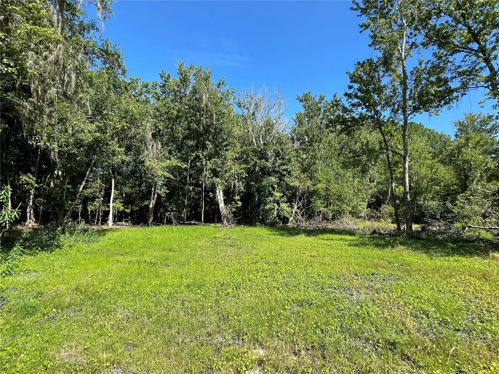 Orlando, Florida 32828, 0 , 0 ,0,Land,For Sale,BEARLE,0,O6041970