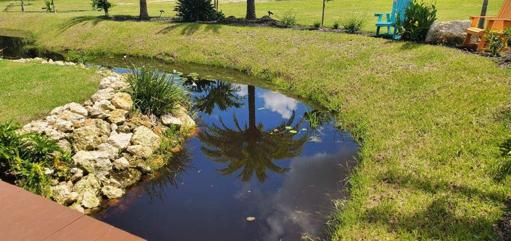 Pond