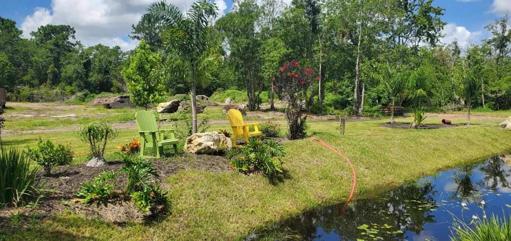 Pond
