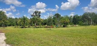 Pasture