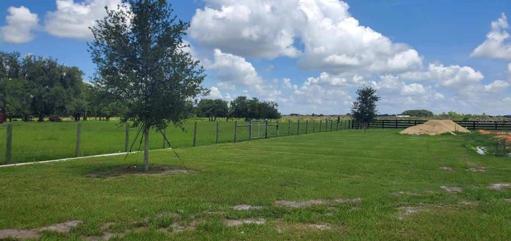 Pasture