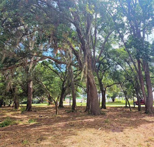 View Looking Northeast