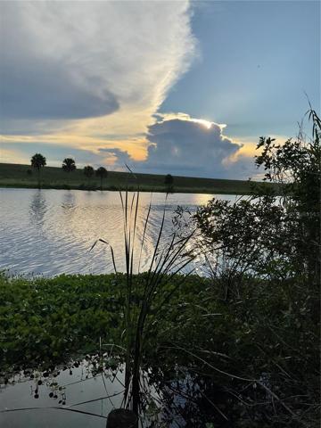 Enjoy Beautiful sunsets from your back yard