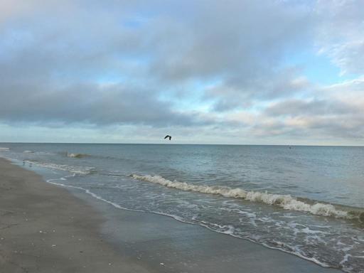 Area Beaches