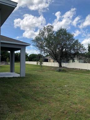 Exterior Backyard