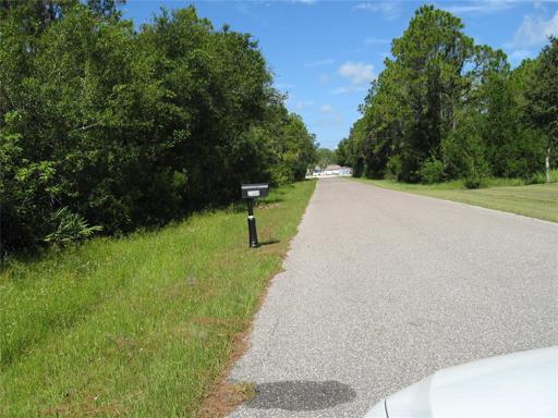 View East; Kidspace in distance