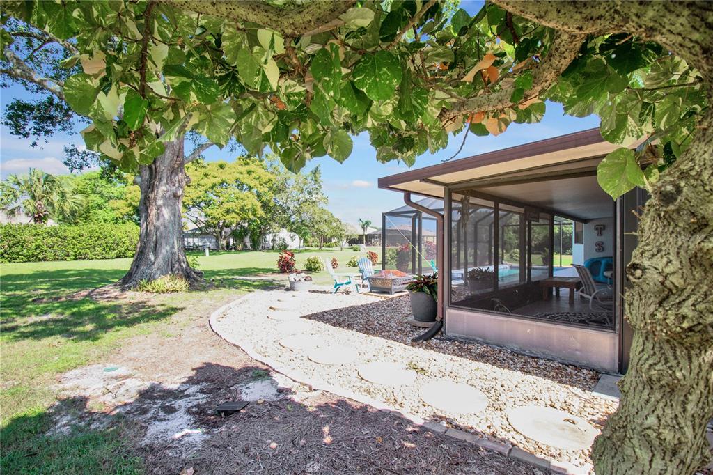 Side/Back Yard