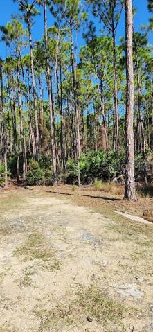 LOT 8 ENTRY VIEW