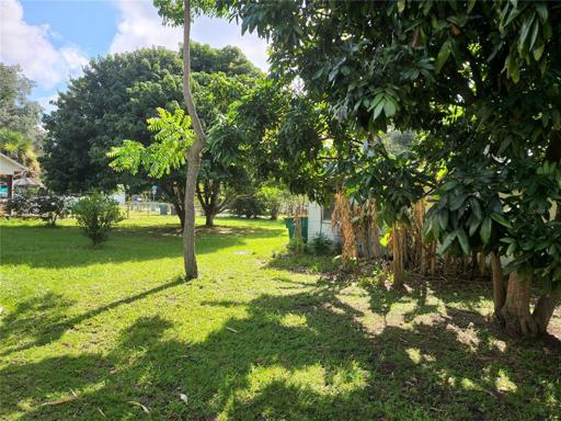 back and side yard 