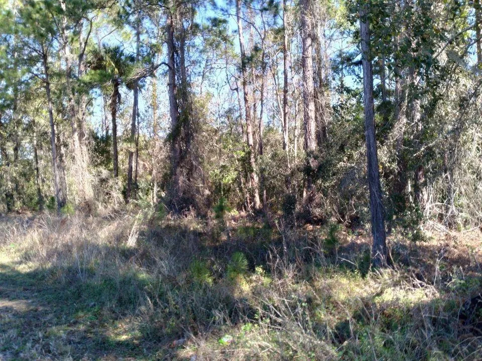 Polk City, Florida 33868, 0 , 0 ,0,Land,For Sale,EVANS RD,0,S5071778