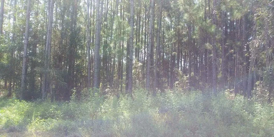 Lakeland, Florida 33810, 0 , 0 ,0,Land,For Sale,MT TABOR,0,S5071780