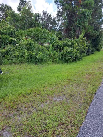 Large lot