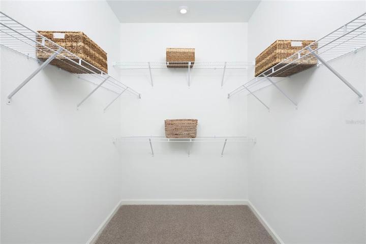 Model Owner's Closet