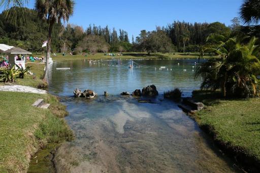 Warm Mineral Springs