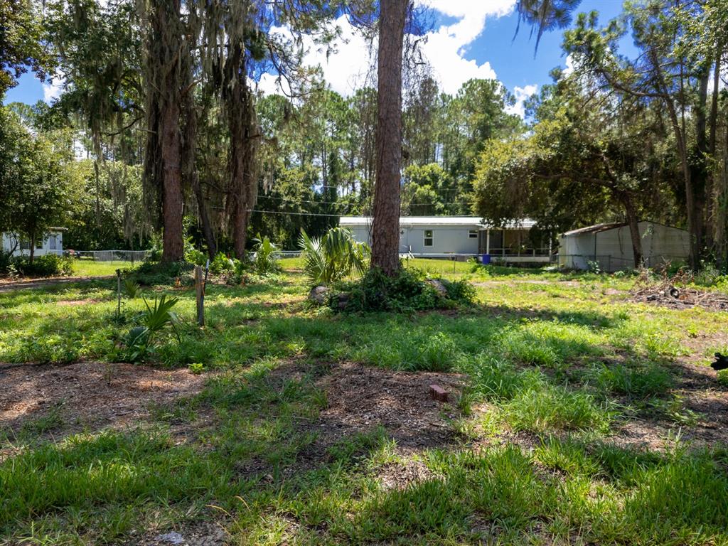 View from SE 143rd Ct, Cleared Lot. Google search for direction: 23PM+PCP Ocklawaha, Florida