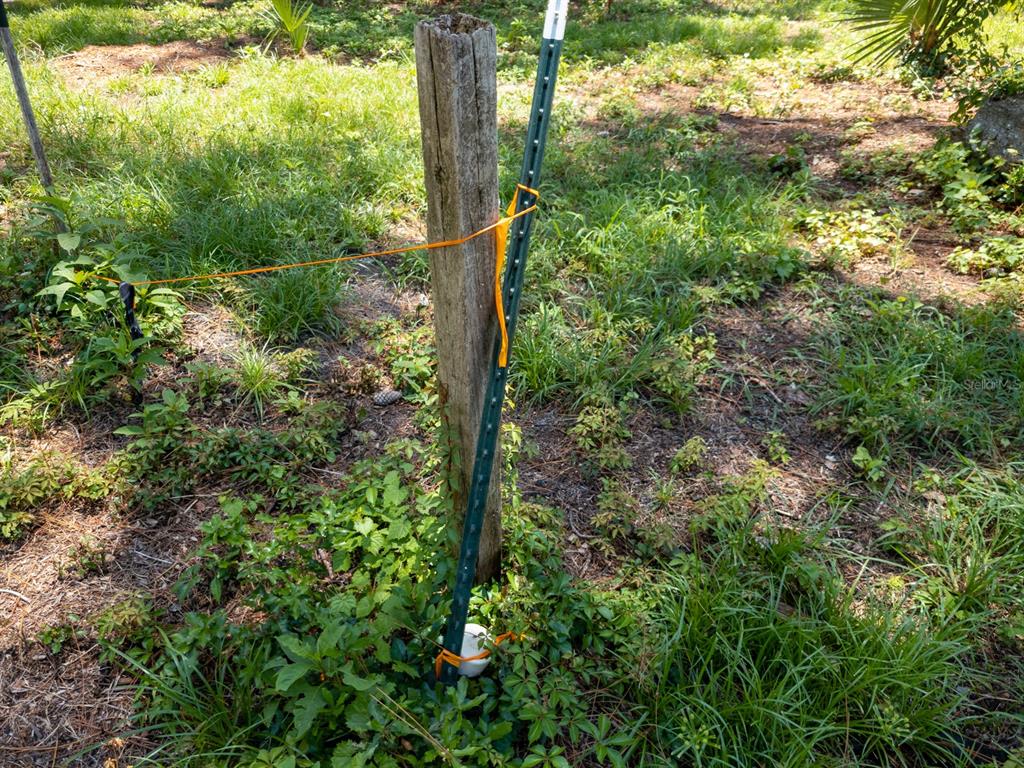 Well pump on cleared, corner lot. Google search for direction: 23PM+PCP Ocklawaha, Florida