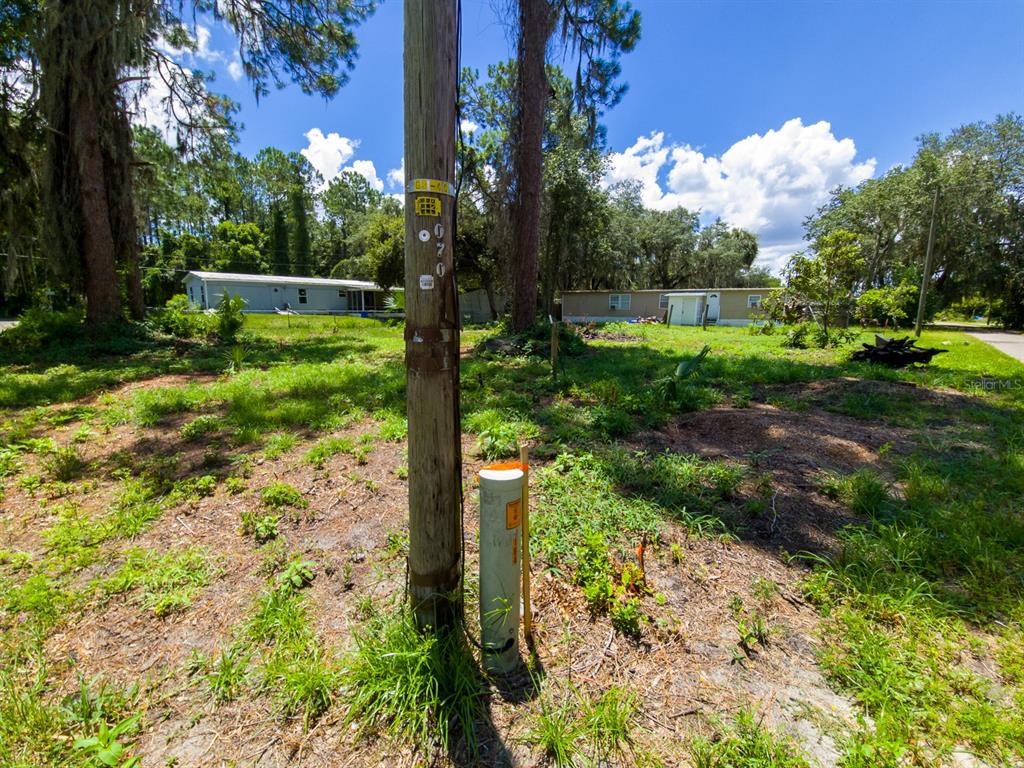 Electric pole on corner of cleared lot. Google search for direction: 23PM+PCP Ocklawaha, Florida